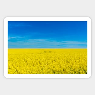 Ukraine national flag landscape - Landscape resembling Ukrainian Flag Sticker